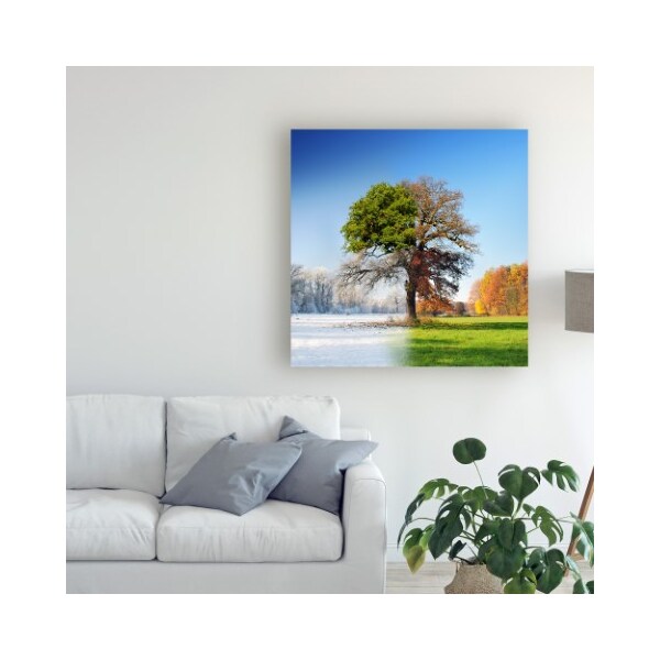 Trademark Fine Art Adam Brzuszek '4 Seasons' Canvas Art, 14x14 - 1X08431-C1414GG