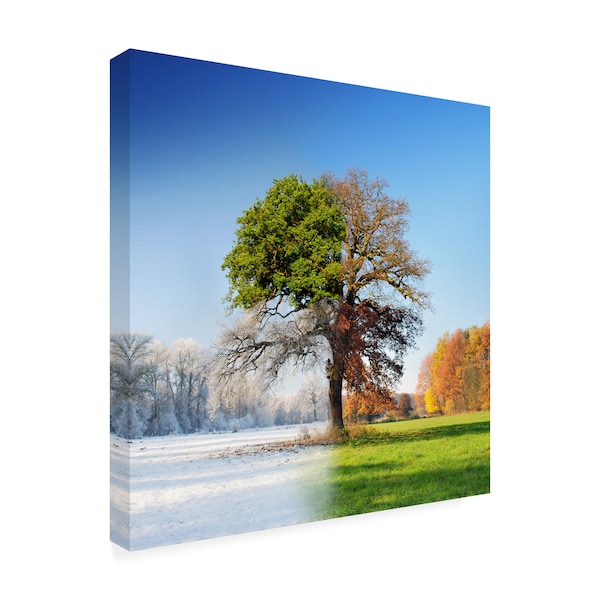 Trademark Fine Art Adam Brzuszek '4 Seasons' Canvas Art, 14x14 - 1X08431-C1414GG