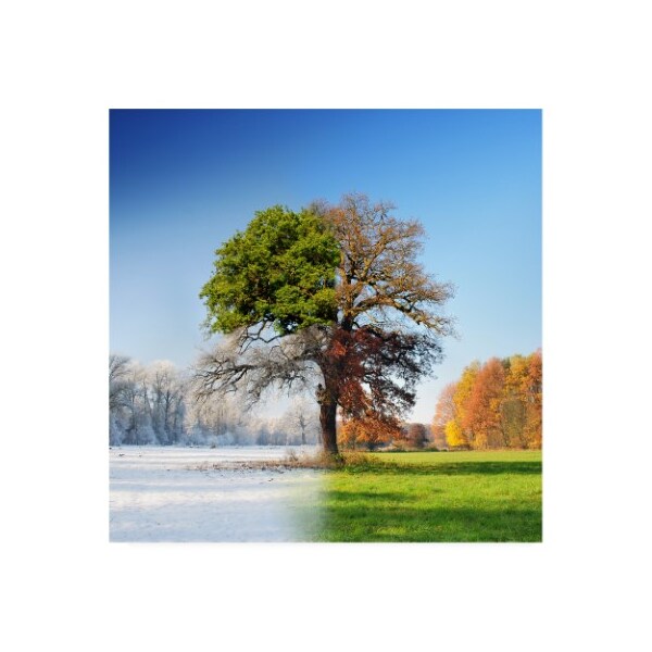 Trademark Fine Art Adam Brzuszek '4 Seasons' Canvas Art, 14x14 - 1X08431-C1414GG