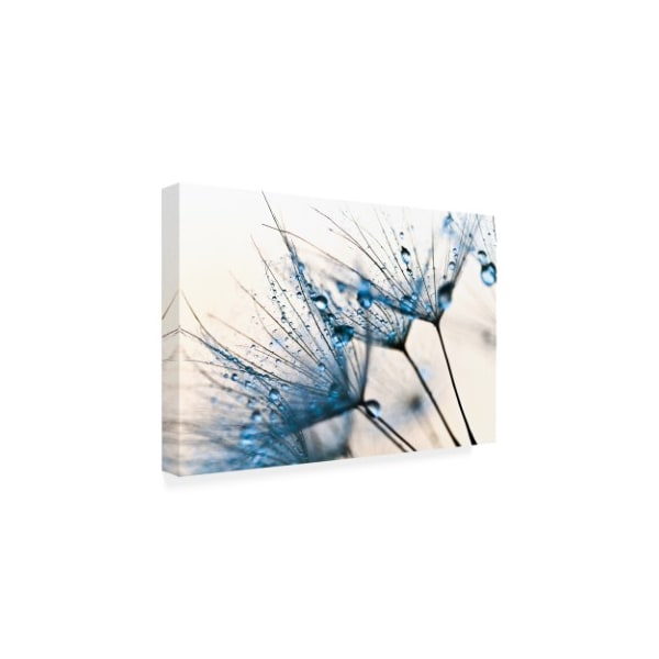 Trademark Fine Art PhotoINC Studio 'Mystic Blue' Canvas Art, 12x19 - IC01650-C1219GG