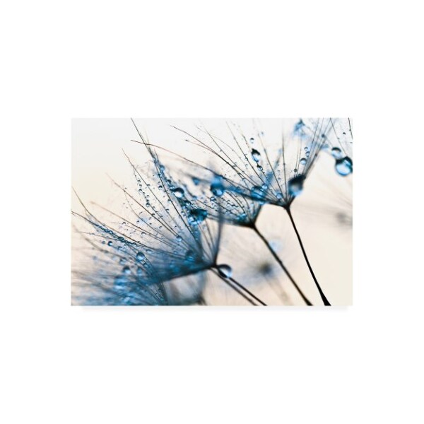Trademark Fine Art PhotoINC Studio 'Mystic Blue' Canvas Art, 12x19 - IC01650-C1219GG