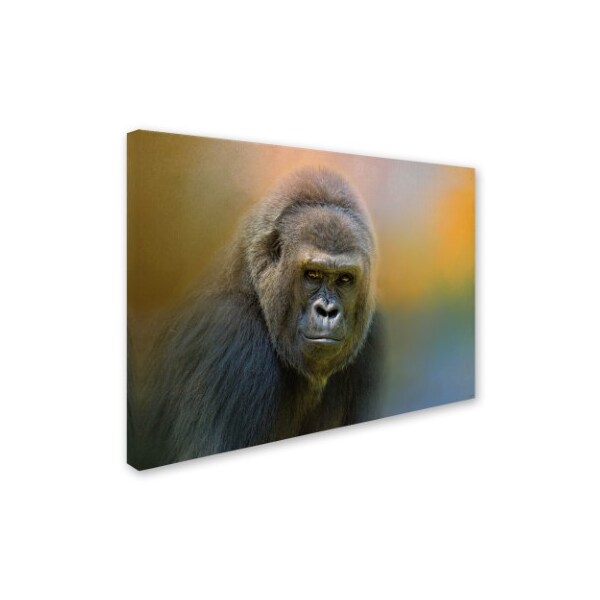 Trademark Fine Art Jai Johnson 'Portrait Of A Gorilla' Canvas Art, 35x47 - ALI14283-C3547GG