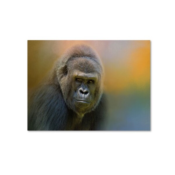 Trademark Fine Art Jai Johnson 'Portrait Of A Gorilla' Canvas Art, 35x47 - ALI14283-C3547GG