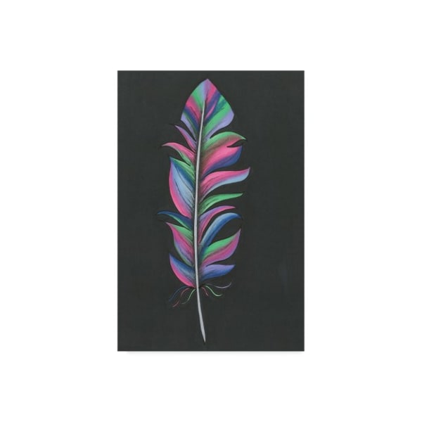 Trademark Fine Art Nicky Kumar 'Colorful Feather' Canvas Art, 22x32 - ALI43899-C2232GG