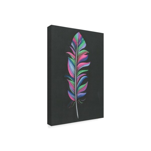 Trademark Fine Art Nicky Kumar 'Colorful Feather' Canvas Art, 22x32 - ALI43899-C2232GG
