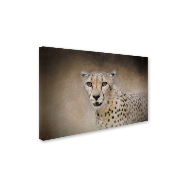 Trademark Fine Art Jai Johnson 'The Cheetah' Canvas Art, 30x47 - ALI13980-C3047GG