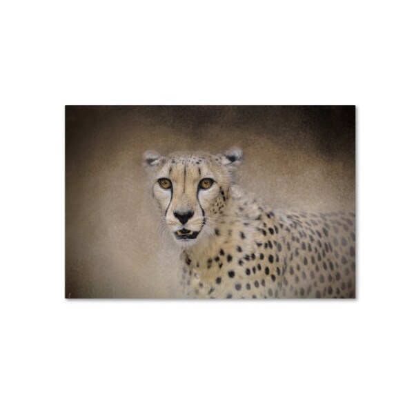 Trademark Fine Art Jai Johnson 'The Cheetah' Canvas Art, 30x47 - ALI13980-C3047GG