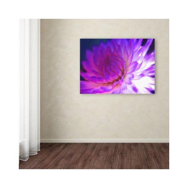 Trademark Fine Art Kathy Yates 'Mod Dahlia' Canvas Art, 16x24 - KY0027-C1624GG