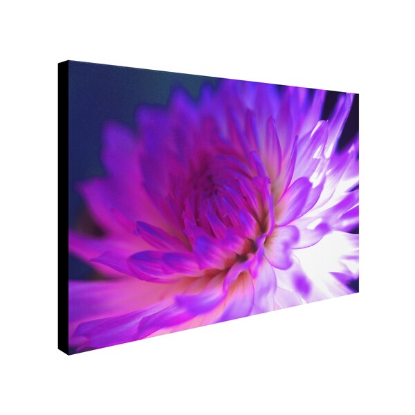 Trademark Fine Art Kathy Yates 'Mod Dahlia' Canvas Art, 16x24 - KY0027-C1624GG