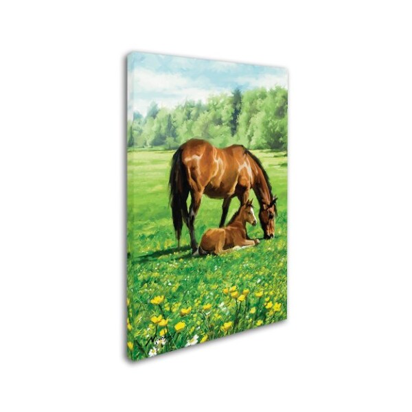 Trademark Fine Art The Macneil Studio 'Horse And Foal' Canvas Art, 12x19 - ALI8696-C1219GG