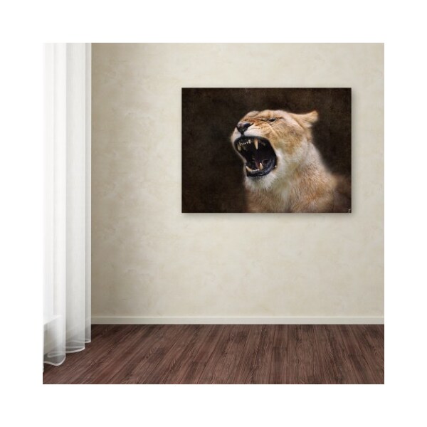 Trademark Fine Art Jai Johnson 'Angry Lioness Portrait' Canvas Art, 14x19 - ALI13778-C1419GG