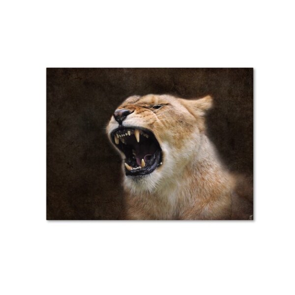 Trademark Fine Art Jai Johnson 'Angry Lioness Portrait' Canvas Art, 14x19 - ALI13778-C1419GG