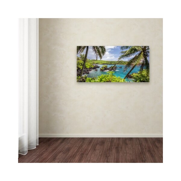 Trademark Fine Art Pierre Leclerc 'Tropical Paradise Maui' Canvas Art, 24x47 - PL0234-C2447GG