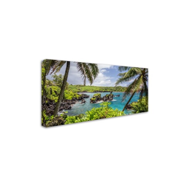 Trademark Fine Art Pierre Leclerc 'Tropical Paradise Maui' Canvas Art, 24x47 - PL0234-C2447GG