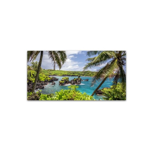 Trademark Fine Art Pierre Leclerc 'Tropical Paradise Maui' Canvas Art, 24x47 - PL0234-C2447GG