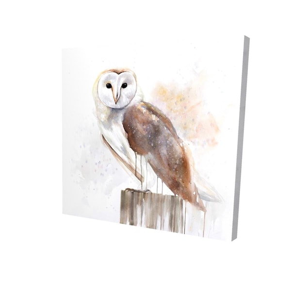 Begin Home Decor 16 x 16 in. Barn Owl-Print on Canvas - 2080-1616-AN386
