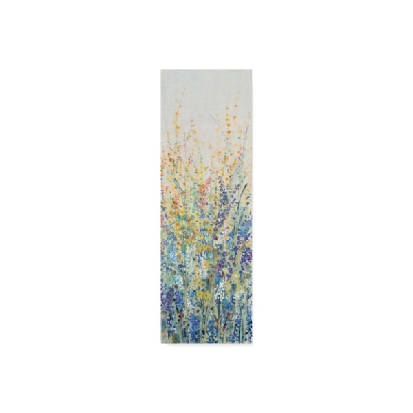 Trademark Fine Art Tim Otoole 'Wildflower Panel I' Canvas Art, 6x19 - WAG07554-C619GG