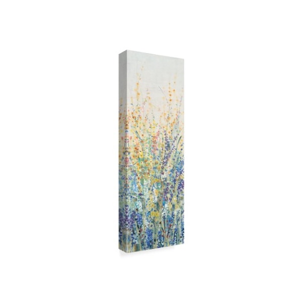 Trademark Fine Art Tim Otoole 'Wildflower Panel I' Canvas Art, 6x19 - WAG07554-C619GG