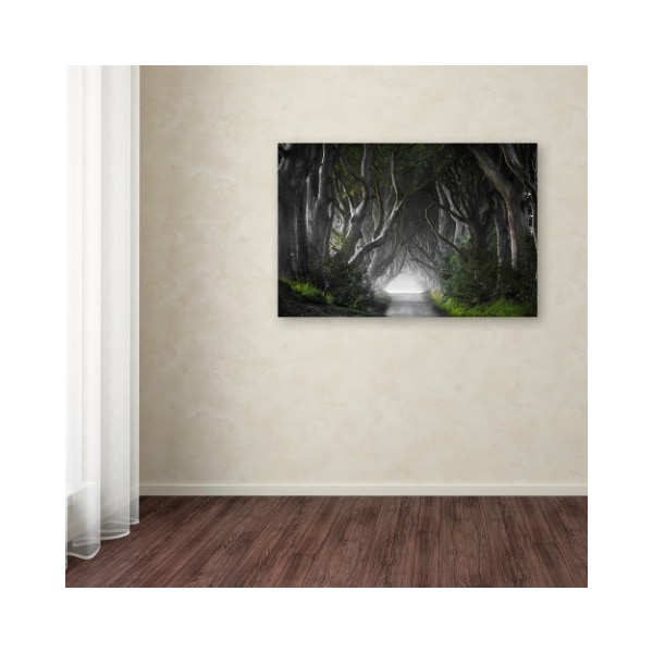 Trademark Fine Art Nicola Molteni 'Dark Hedges' Canvas Art, 30x47 - 1X00596-C3047GG