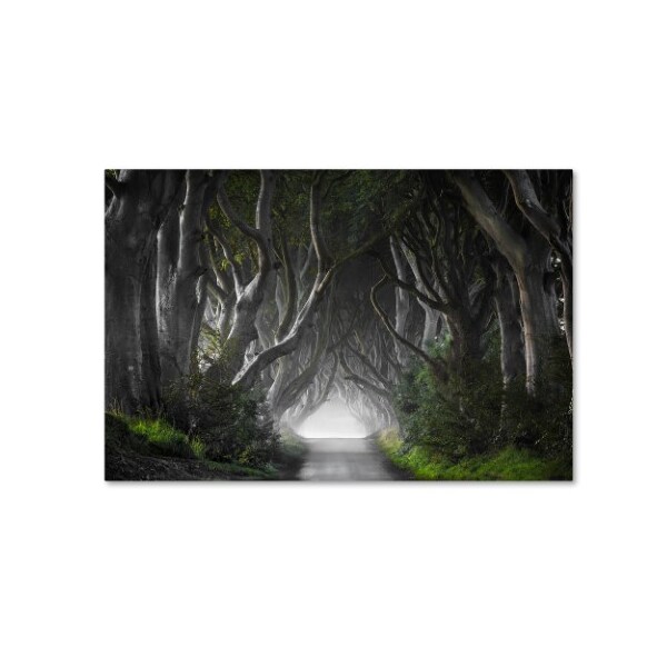 Trademark Fine Art Nicola Molteni 'Dark Hedges' Canvas Art, 30x47 - 1X00596-C3047GG