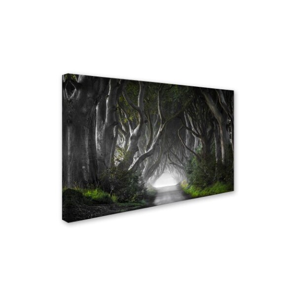 Trademark Fine Art Nicola Molteni 'Dark Hedges' Canvas Art, 30x47 - 1X00596-C3047GG