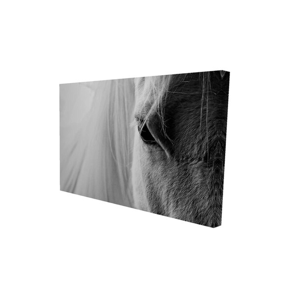 Begin Home Decor 20 x 30 in. The White Horse Eye-Print on Canvas - 2080-2030-PH16