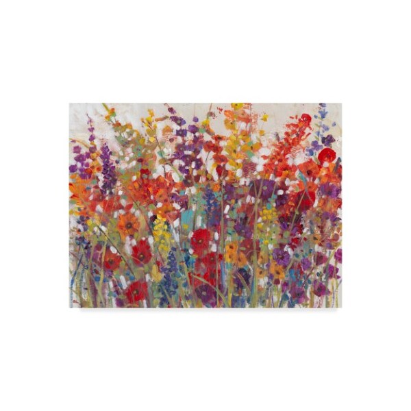 Trademark Fine Art Tim Otoole 'Variety Of Flowers Ii' Canvas Art, 14x19 - WAG08312-C1419GG