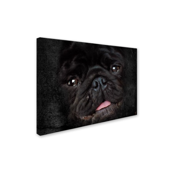 Trademark Fine Art Jai Johnson 'Black Pug Portrait' Canvas Art, 14x19 - ALI13799-C1419GG