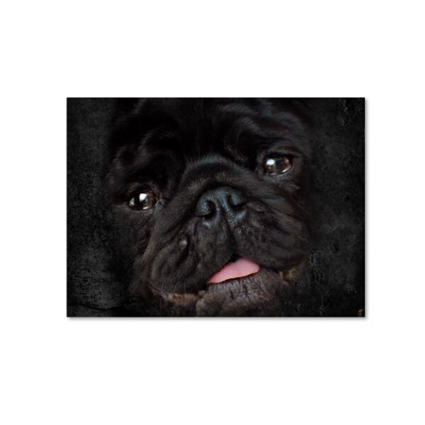 Trademark Fine Art Jai Johnson 'Black Pug Portrait' Canvas Art, 14x19 - ALI13799-C1419GG