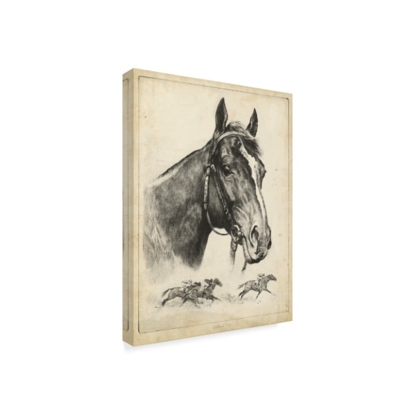 Trademark Fine Art R.H. Palenske 'Gallant Fox' Canvas Art, 35x47 - WAG03971-C3547GG