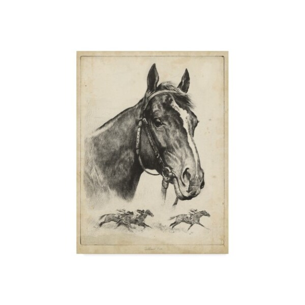 Trademark Fine Art R.H. Palenske 'Gallant Fox' Canvas Art, 35x47 - WAG03971-C3547GG