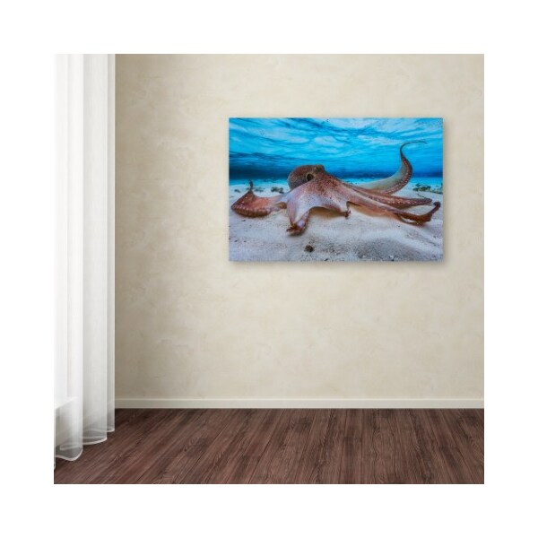 Trademark Fine Art Barathieu Gabriel 'Octopus' Canvas Art, 12x19 - 1X00670-C1219GG