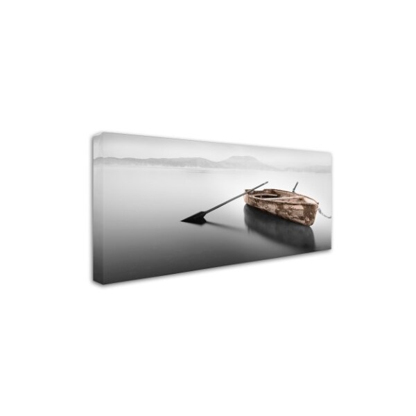 Trademark Fine Art Moises Levy 'Ready 2 Pano' Canvas Art, 12x24 - ALI6042-C1224GG