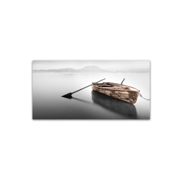Trademark Fine Art Moises Levy 'Ready 2 Pano' Canvas Art, 12x24 - ALI6042-C1224GG