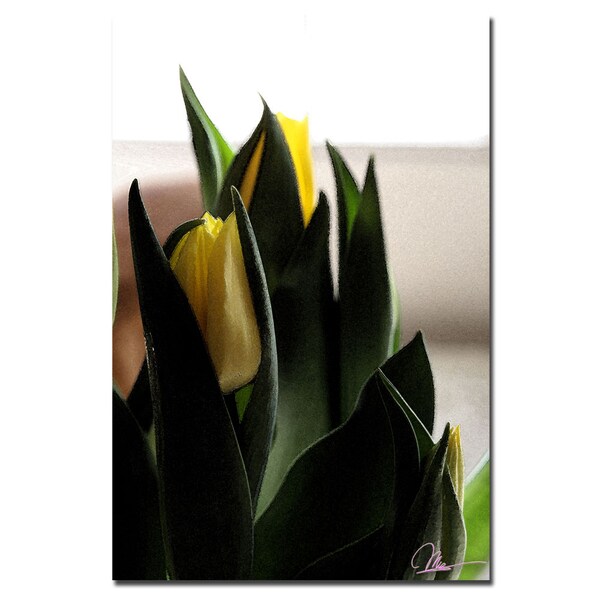 Trademark Fine Art Martha Guerra 'Tulips V' Canvas Art, 16x24 - MG0128-C1624GG