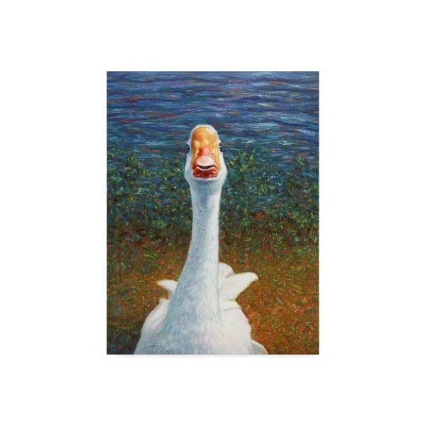 Trademark Fine Art James W. Johnson 'Goose' Canvas Art, 18x24 - ALI36256-C1824GG