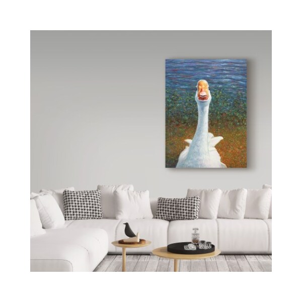 Trademark Fine Art James W. Johnson 'Goose' Canvas Art, 18x24 - ALI36256-C1824GG
