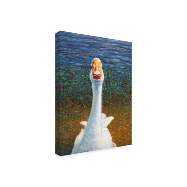 Trademark Fine Art James W. Johnson 'Goose' Canvas Art, 18x24 - ALI36256-C1824GG