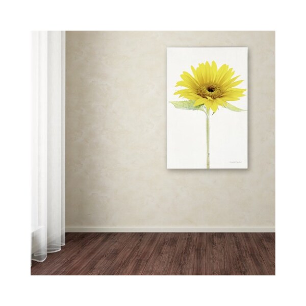 Trademark Fine Art Elizabeth Urquhart 'Light and Bright Floral VIII' Canvas Art, 12x19 - WAP01932-C1219GG