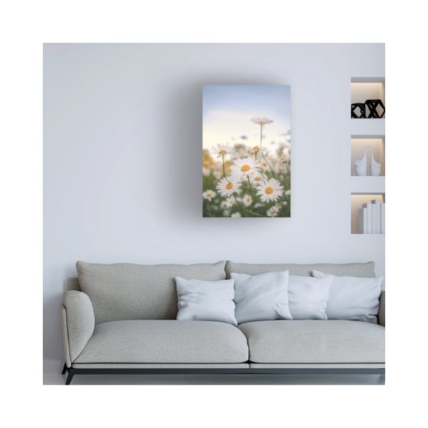 Trademark Fine Art Philippe Sainte Laudy 'Fields of Marguerite' Canvas Art, 16x24 - PSL01392-C1624GG