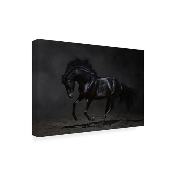 Trademark Fine Art PhotoINC Studio 'Onyx Horse' Canvas Art, 12x19 - IC01633-C1219GG