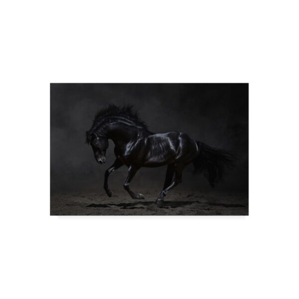 Trademark Fine Art PhotoINC Studio 'Onyx Horse' Canvas Art, 12x19 - IC01633-C1219GG