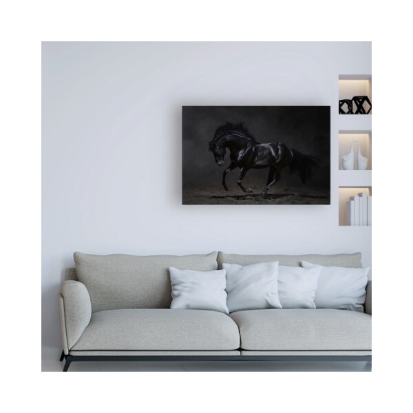 Trademark Fine Art PhotoINC Studio 'Onyx Horse' Canvas Art, 12x19 - IC01633-C1219GG