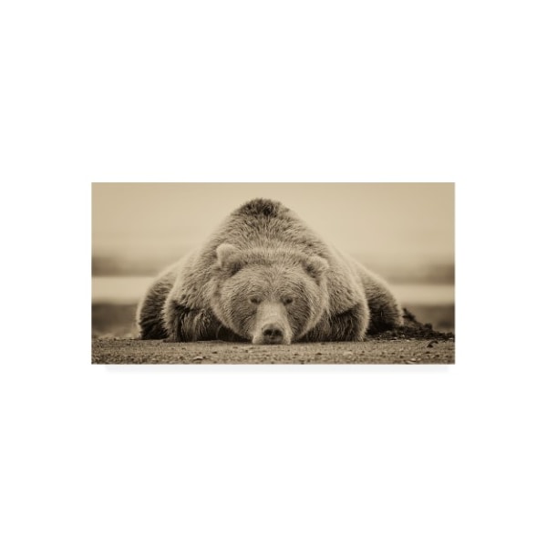Trademark Fine Art Phburchett 'Deep Sleep' Canvas Art, 24x47 - WAG11265-C2447GG