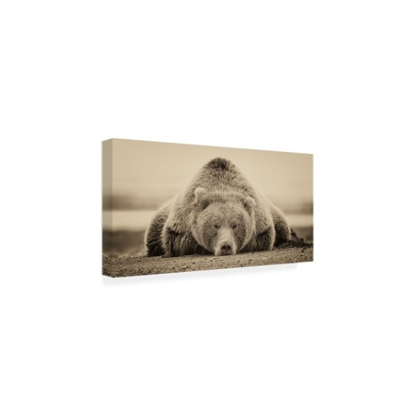 Trademark Fine Art Phburchett 'Deep Sleep' Canvas Art, 24x47 - WAG11265-C2447GG