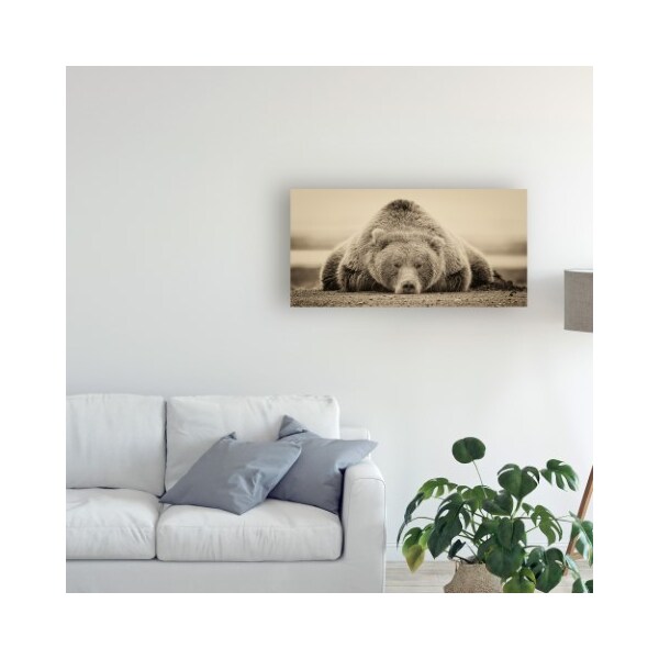 Trademark Fine Art Phburchett 'Deep Sleep' Canvas Art, 24x47 - WAG11265-C2447GG