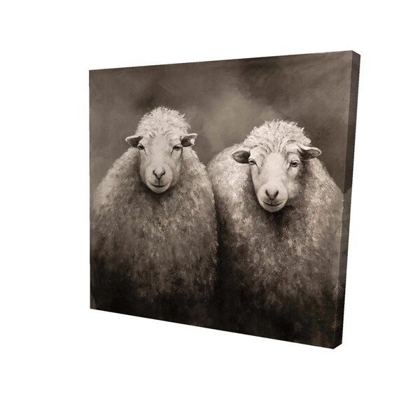 Fondo 16 x 16 in. Sheep Sepia-Print on Canvas - FO2790903