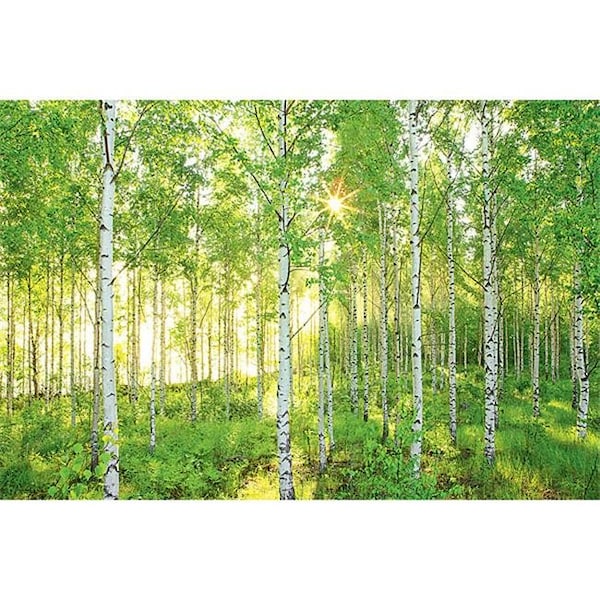 Brewster Home Fashions Brewster Home Fashions 8-519 Sunday Wall Mural - 100 in. - 8-519