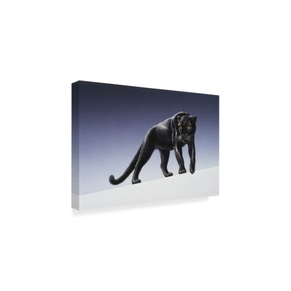 Trademark Fine Art Harro Maass 'Black Panther Light' Canvas Art, 22x32 - ALI35683-C2232GG