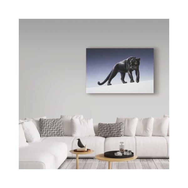 Trademark Fine Art Harro Maass 'Black Panther Light' Canvas Art, 22x32 - ALI35683-C2232GG